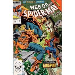 Web of Spider-Man #48 (Marvel Comics) 1989 in NM condition